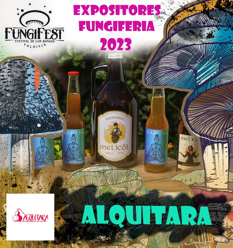 Fungifest Valdivia: Descubre los Sabores Únicos de Alquitara