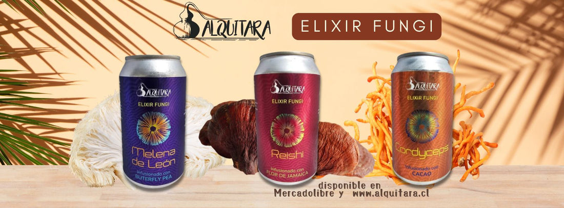 Descubre los beneficios de los hongos adaptógenos en los nuevos Elixires Fungi de Alquitara.